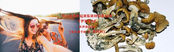 соль ск Горно-Алтайск