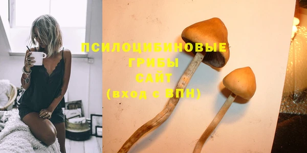 меф Горнозаводск