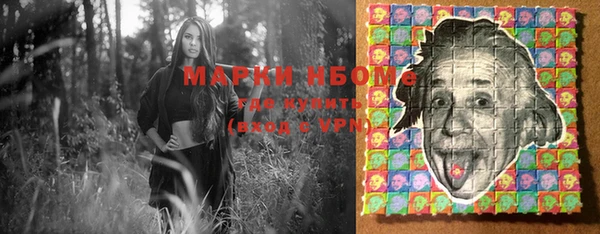 соль ск Горно-Алтайск