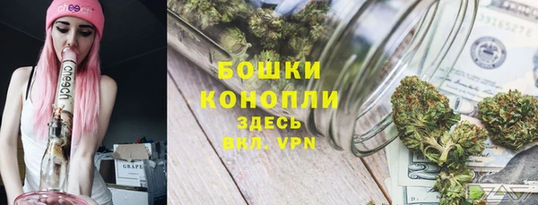 соль ск Горно-Алтайск