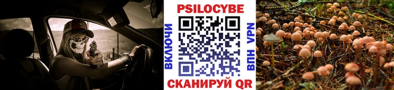 Галлюциногенные грибы мицелий  Норильск 